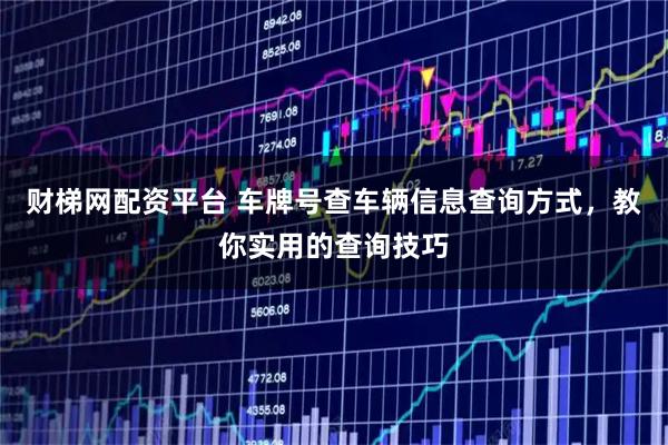 财梯网配资平台 车牌号查车辆信息查询方式，教你实用的查询技巧