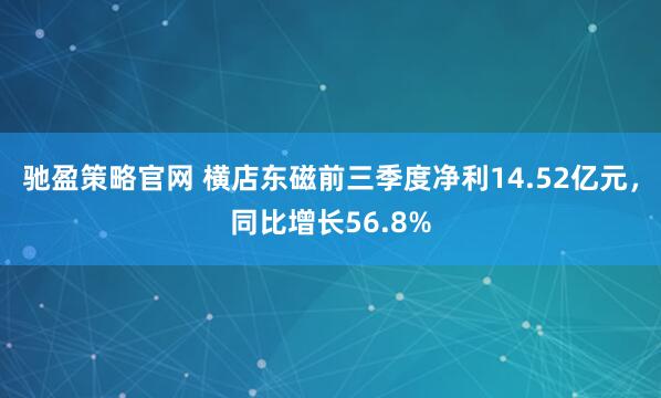 驰盈策略官网 横店东磁前三季度净利14.52亿元，同比增长56.8%