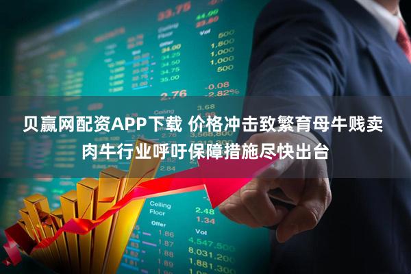 贝赢网配资APP下载 价格冲击致繁育母牛贱卖 肉牛行业呼吁保障措施尽快出台
