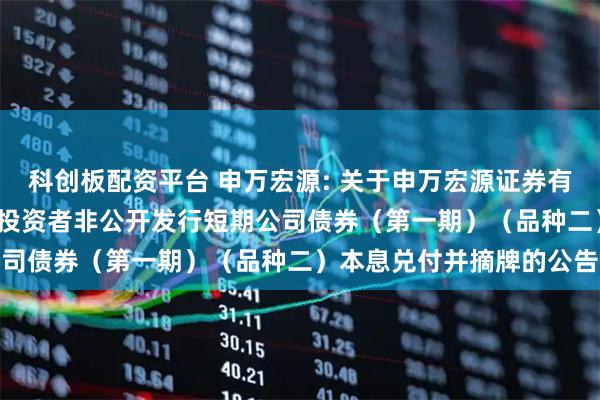 科创板配资平台 申万宏源: 关于申万宏源证券有限公司2025年面向专业投资者非公开发行短期公司债券（第一期）（品种二）本息兑付并摘牌的公告