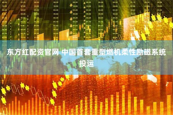 东方红配资官网 中国首套重型燃机柔性励磁系统投运